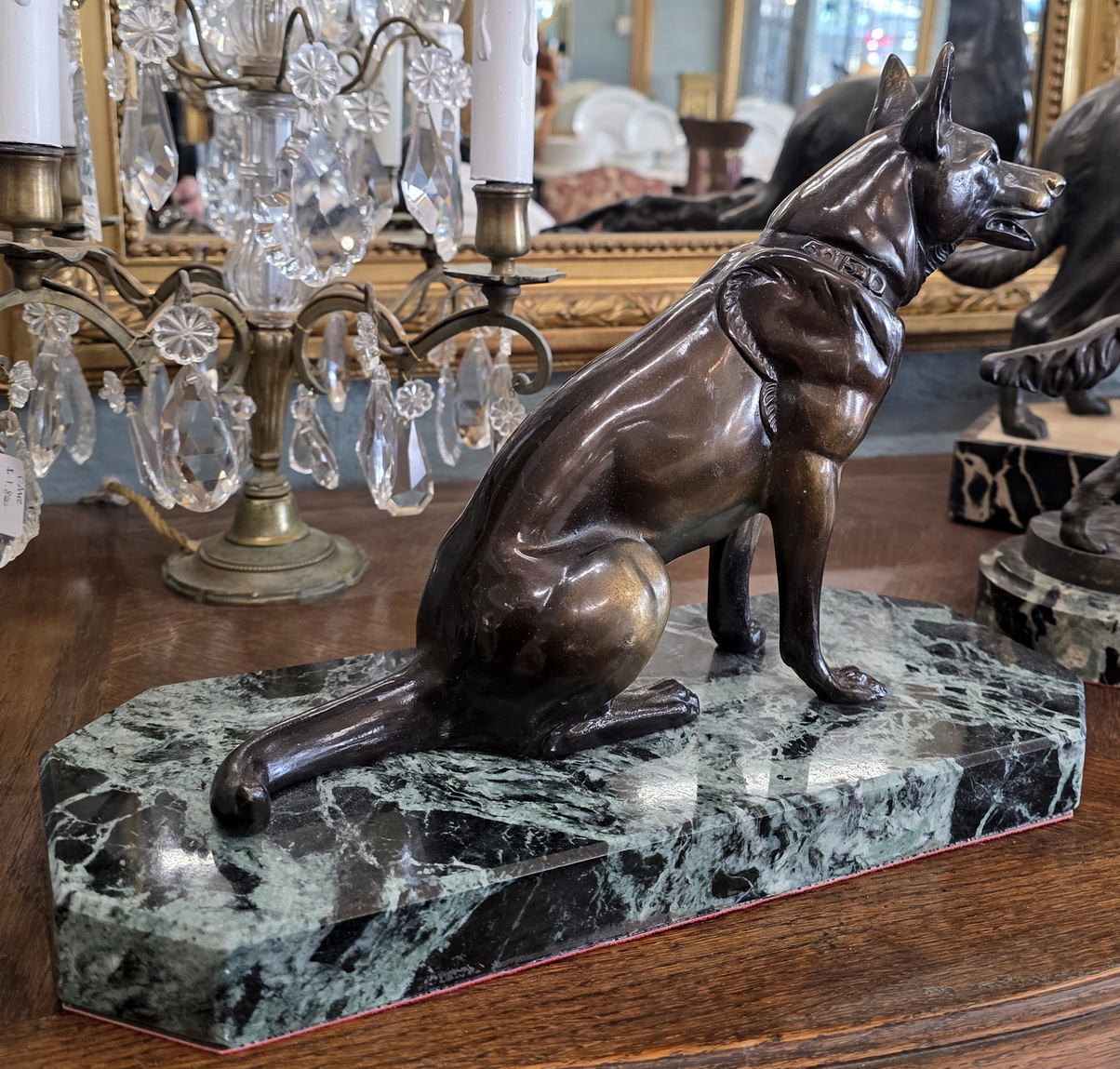 A French Alsatian Dog A French Alsatian Dog